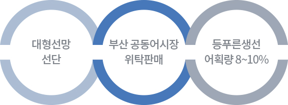 21900t 동결 능력, 5000t 제빙 능력, 믿을 수 있는 제품보관